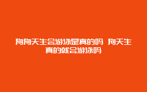 狗狗天生会游泳是真的吗 狗天生真的就会游泳吗