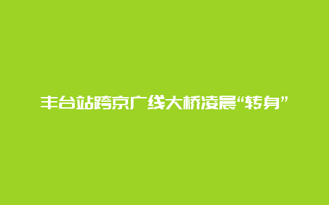 丰台站跨京广线大桥凌晨“转身”