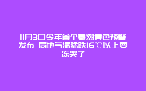 11月3日今年首个寒潮黄色预警发布 局地气温猛跌16℃以上要冻哭了