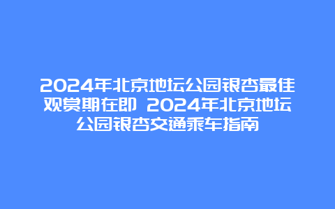 2024年北京地坛公园银杏最佳观赏期在即 2024年北京地坛公园银杏交通乘车指南