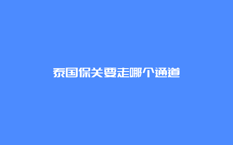 泰国保关要走哪个通道