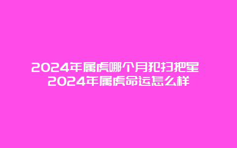 2024年属虎哪个月犯扫把星 2024年属虎命运怎么样