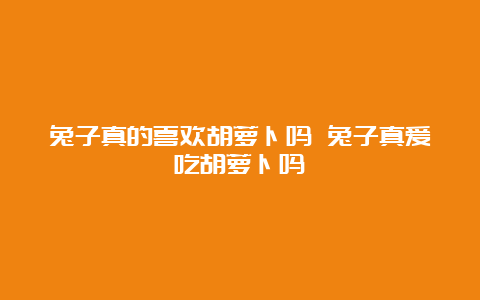 兔子真的喜欢胡萝卜吗 兔子真爱吃胡萝卜吗