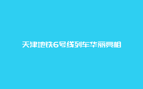 天津地铁6号线列车华丽亮相