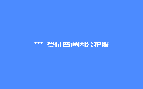 *** 签证普通因公护照