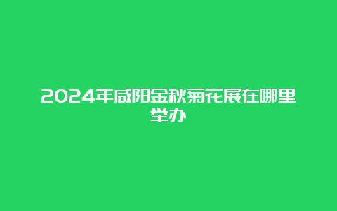 2024年咸阳金秋菊花展在哪里举办