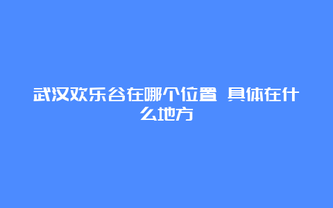 武汉欢乐谷在哪个位置 具体在什么地方