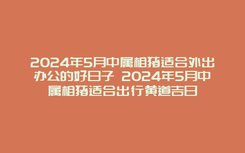 2024年5月中属相猪适合外出办公的好日子 2024年5月中属相猪适合出行黄道吉日