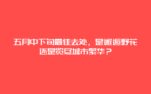 五月中下旬最佳去处，是邂逅野花还是览尽城市繁华？