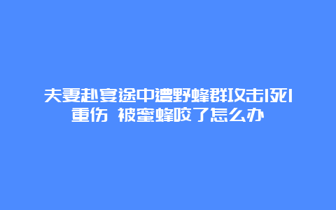 夫妻赴宴途中遭野蜂群攻击1死1重伤 被蜜蜂咬了怎么办