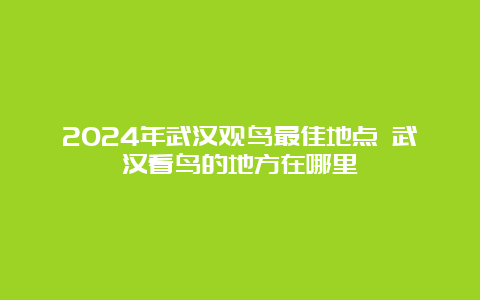 2024年武汉观鸟最佳地点 武汉看鸟的地方在哪里