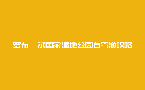 罗布淖尔国家湿地公园自驾游攻略