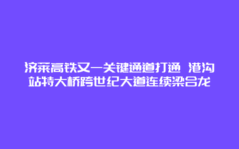 济莱高铁又一关键通道打通 港沟站特大桥跨世纪大道连续梁合龙