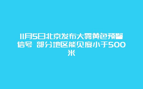 11月5日北京发布大雾黄色预警信号 部分地区能见度小于500米