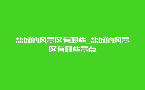 盐城的风景区有哪些_盐城的风景区有哪些景点