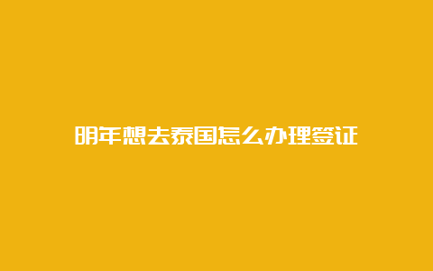 明年想去泰国怎么办理签证