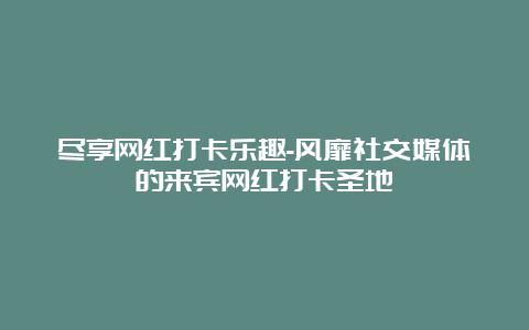 尽享网红打卡乐趣-风靡社交媒体的来宾网红打卡圣地