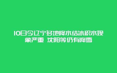 10日今辽宁多地降水结冰积水现象严重 沈阳等仍有降雪