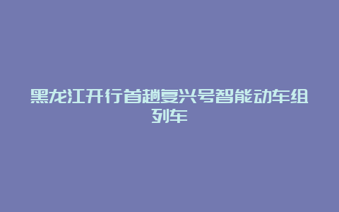 黑龙江开行首趟复兴号智能动车组列车