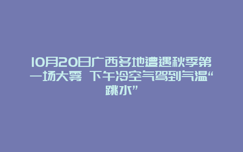 10月20日广西多地遭遇秋季第一场大雾 下午冷空气驾到气温“跳水”