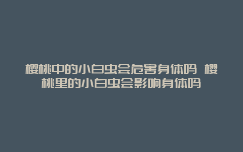 樱桃中的小白虫会危害身体吗 樱桃里的小白虫会影响身体吗