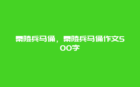 秦陵兵马俑，秦陵兵马俑作文500字