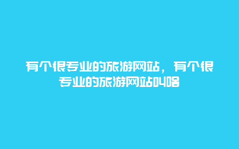 有个很专业的旅游网站，有个很专业的旅游网站叫啥