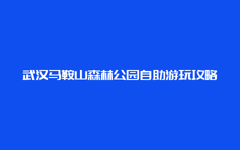 武汉马鞍山森林公园自助游玩攻略