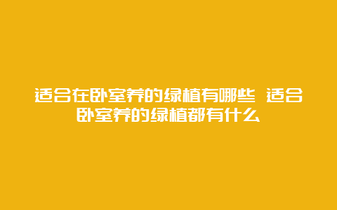 适合在卧室养的绿植有哪些 适合卧室养的绿植都有什么