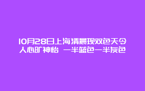 10月28日上海清晨现双色天令人心旷神怡 一半蓝色一半灰色