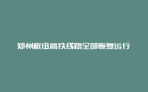 郑州枢纽高铁线路全部恢复运行