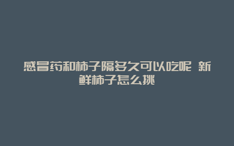 感冒药和柿子隔多久可以吃呢 新鲜柿子怎么挑