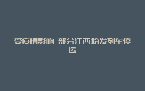 受疫情影响 部分江西始发列车停运