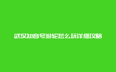 武汉知音号游轮怎么玩详细攻略