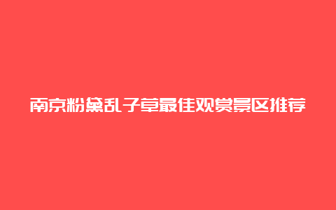 南京粉黛乱子草最佳观赏景区推荐