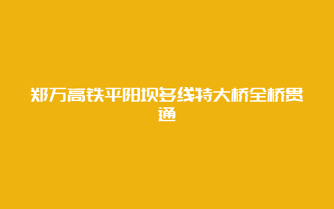 郑万高铁平阳坝多线特大桥全桥贯通