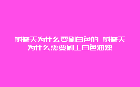 树冬天为什么要刷白色的 树冬天为什么需要刷上白色油漆