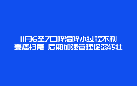 11月6至7日降温降水过程不利麦播扫尾 后期加强管理促弱转壮