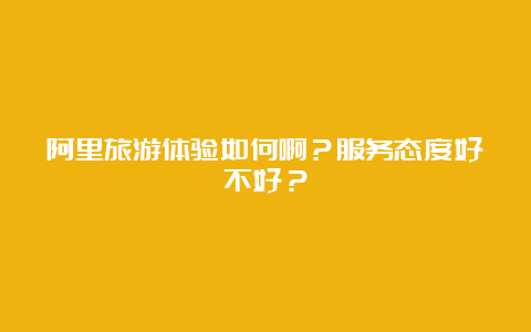 阿里旅游体验如何啊？服务态度好不好？