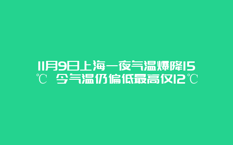 11月9日上海一夜气温爆降15℃ 今气温仍偏低最高仅12℃