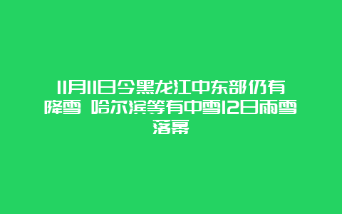 11月11日今黑龙江中东部仍有降雪 哈尔滨等有中雪12日雨雪落幕