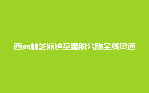 西藏林芝派镇至墨脱公路全线贯通