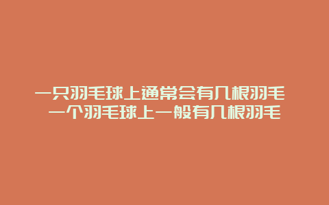 一只羽毛球上通常会有几根羽毛 一个羽毛球上一般有几根羽毛