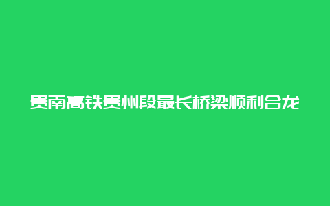 贵南高铁贵州段最长桥梁顺利合龙