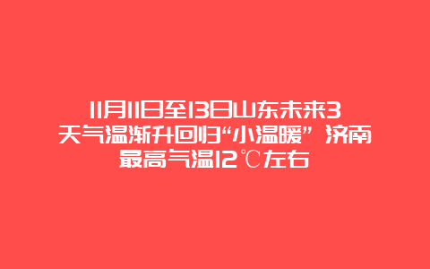 11月11日至13日山东未来3天气温渐升回归“小温暖” 济南最高气温12℃左右