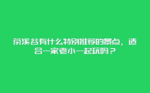 茶溪谷有什么特别推荐的景点，适合一家老小一起玩吗？