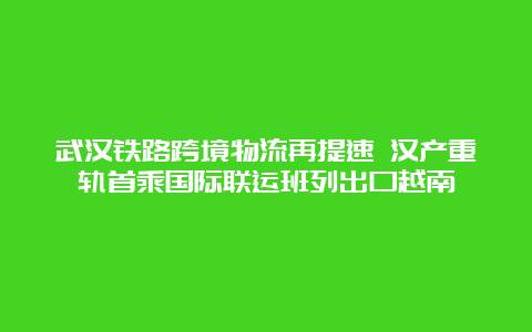 武汉铁路跨境物流再提速 汉产重轨首乘国际联运班列出口越南