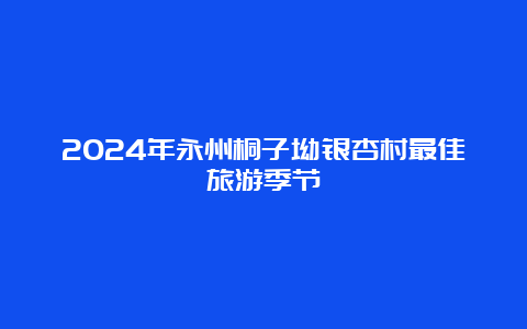 2024年永州桐子坳银杏村最佳旅游季节