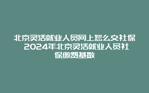 北京灵活就业人员网上怎么交社保 2024年北京灵活就业人员社保缴费基数