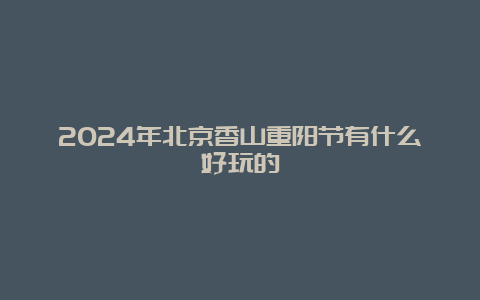 2024年北京香山重阳节有什么好玩的